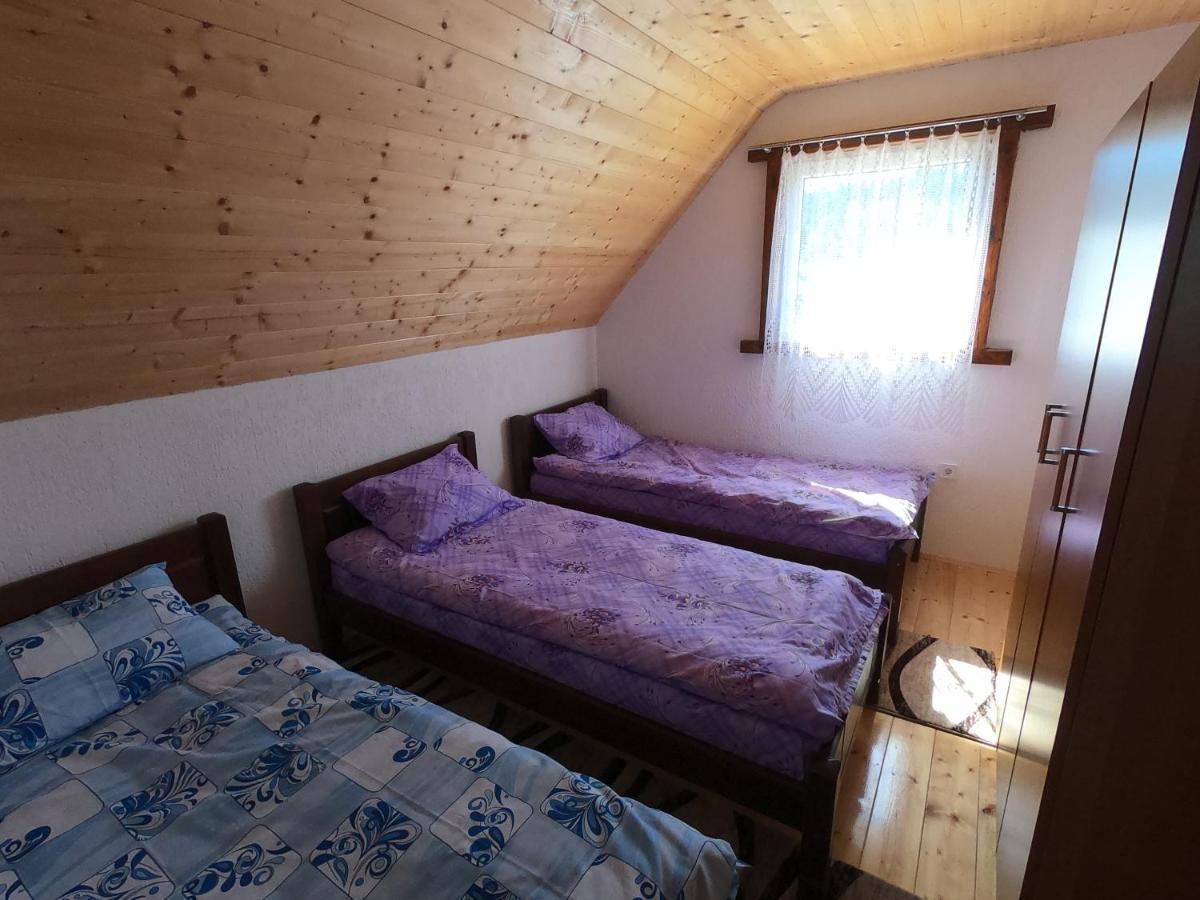 Guest House Tara Žabljak エクステリア 写真